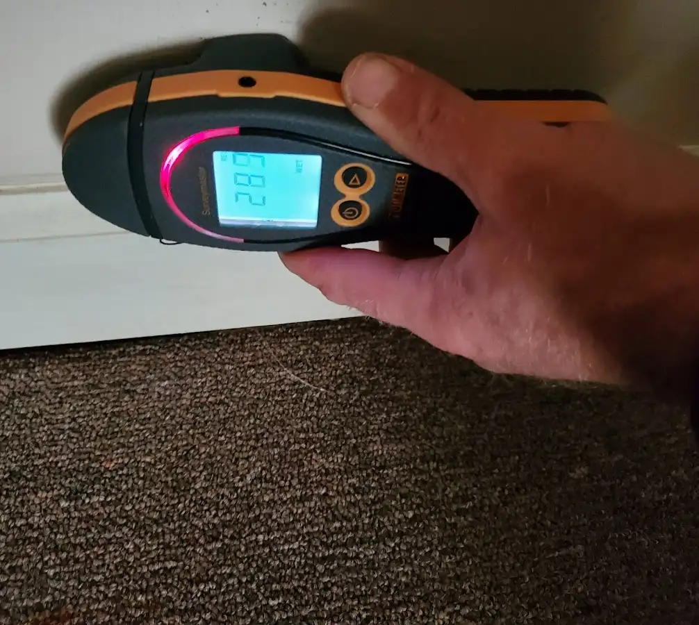 Moisture detection at baseboard during Sewage Cleanup & Sanitation in Penn Hills